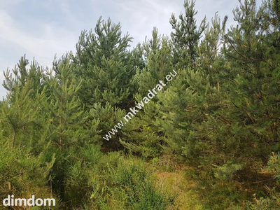 ⭐⭐⭐⭐⭐ Działka 4000 m² - usługowo-budowlana MPZP! - 4