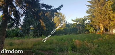 ⭐⭐⭐⭐ Blisko WKD na dom 2 lokal Media 1600m2 ⭐⭐⭐⭐ - 2