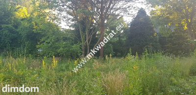 ⭐⭐⭐⭐ Blisko WKD na dom 2 lokal Media 1600m2 ⭐⭐⭐⭐ - 3