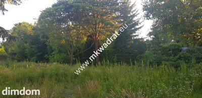 ⭐⭐⭐⭐ Blisko WKD na dom 2 lokal Media 1600m2 ⭐⭐⭐⭐ - 4