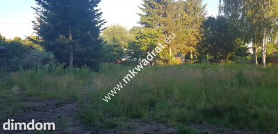 ⭐⭐⭐⭐ Blisko WKD na dom 2 lokal Media 1600m2 ⭐⭐⭐⭐ - 5