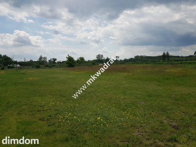 ⭐⭐⭐⭐⭐ Ustawna 1500m2 w cichej okolicy 45mx33m⭐⭐⭐⭐⭐ - 2