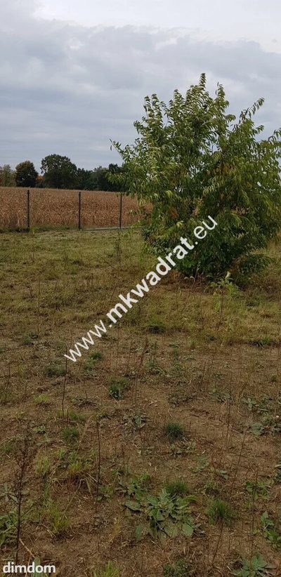 ⭐⭐⭐⭐⭐ Ustawna 1500m2 w cichej okolicy 45mx33m⭐⭐⭐⭐⭐ - 3