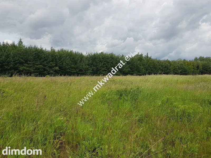 działka  inwestycyjna powyżej 1 ha - 106345826.jpg