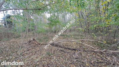 Atrakcyjna działka 1347m2, WYGLĘDY, Pod Kampinosem