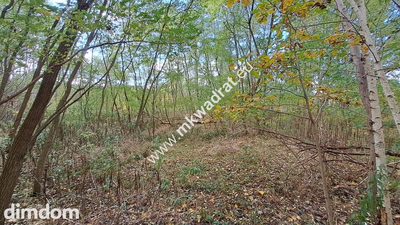 ⭐⭐⭐⭐ Pod INWESTYCJĘ, 8369 m2, pod Kampinosem ⭐⭐⭐⭐ - 4