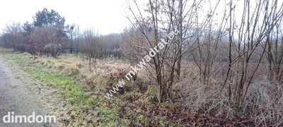 ⭐⭐⭐⭐ Działa 1122 m MPZP media Budy Grzybek ⭐⭐⭐⭐ - 3
