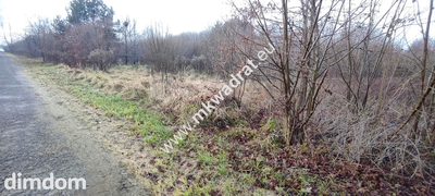 ⭐⭐⭐⭐ Działa 1122 m MPZP media Budy Grzybek ⭐⭐⭐⭐ - 2