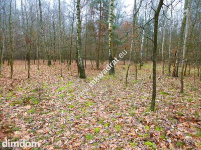 działka leśna z prawem zabudowy - 5