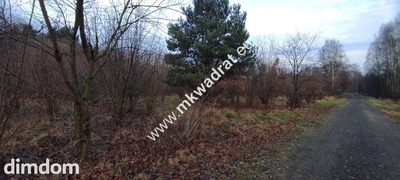 ⭐⭐⭐⭐  Działka Budowlana 1122 m Budy Grzybek ⭐⭐⭐⭐