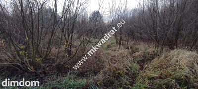 ⭐⭐⭐⭐ Działka Budowlana 1122 m Budy Grzybek ⭐⭐⭐⭐ - 4