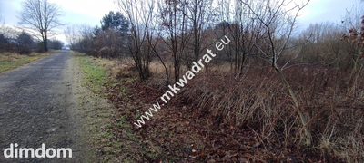 ⭐⭐⭐⭐ Działka Budowlana 1122 m Budy Grzybek ⭐⭐⭐⭐ - 3
