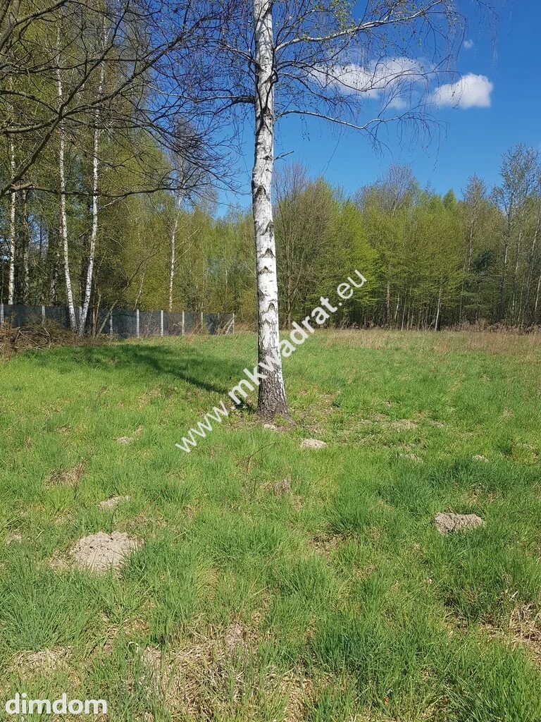 Działka - druga linia zabudowy - 112151442.jpg