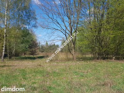 Działka 1030 m Budy Mszczonowskie - 3