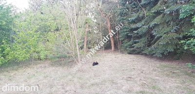 Działka z mediami Rozalin z M P Z P - 3
