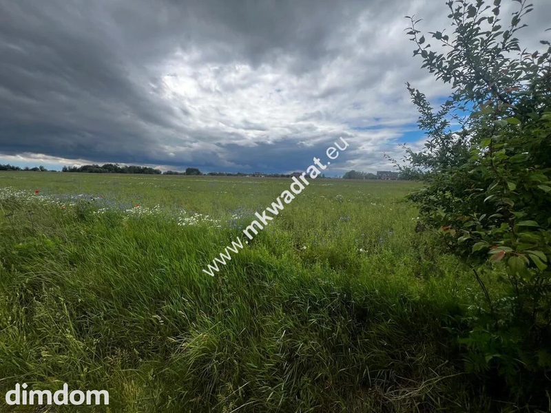 Piękna duża działka z WZ Nowe Faszczyce k/Błonia - 113215062.jpg