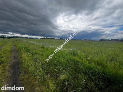 Piękna duża działka z WZ Nowe Faszczyce k/Błonia - 2