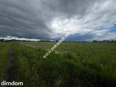 Piękna duża działka z WZ Nowe Faszczyce k/Błonia - 3
