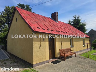 Nowa Łubianka domu z dużą działką - 2