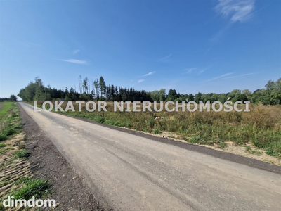 OBNIŻKA CENY*działka pod zabudowę*dostęp jeziora - 3