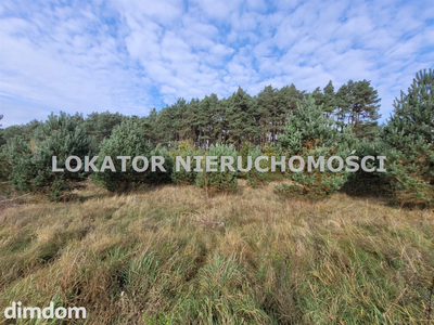 DOBRZYCA działka pod zabudowę DWÓCH domów - 5