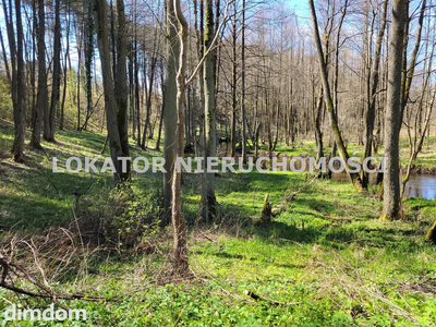 Działka rolna z bezpośrednim dostępem do rzeki - 2