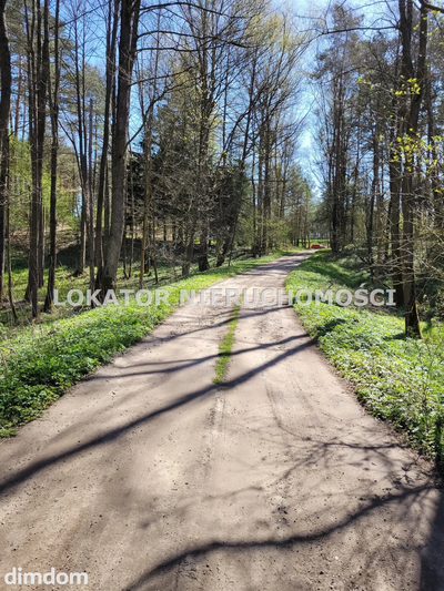 Działka rolna z bezpośrednim dostępem do rzeki - 4
