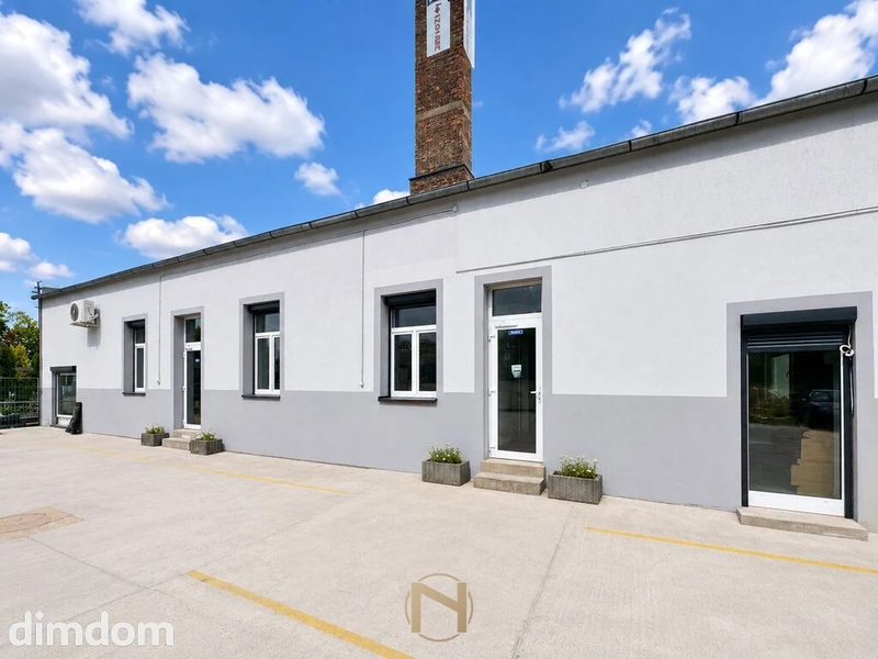 Lokal na wynajem - 113953346.jpg