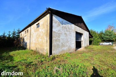 Lokal na wynajem - 3