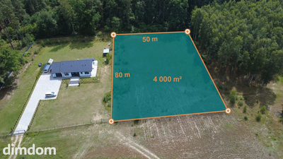 4000 m² przy lesie | WZ | Biały Bór - 3
