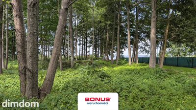 Działka budowlano-usługowa z linią brzegową - 2