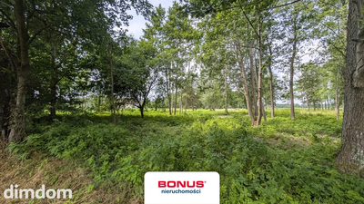 Działka budowlano-usługowa z linią brzegową - 5