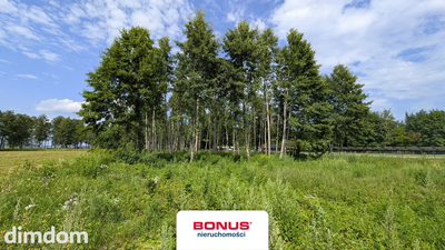 Działka budowlano-usługowa z linią brzegową - 4