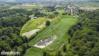 Prawie 7 ha w Żarach za 8,70 zł/m²