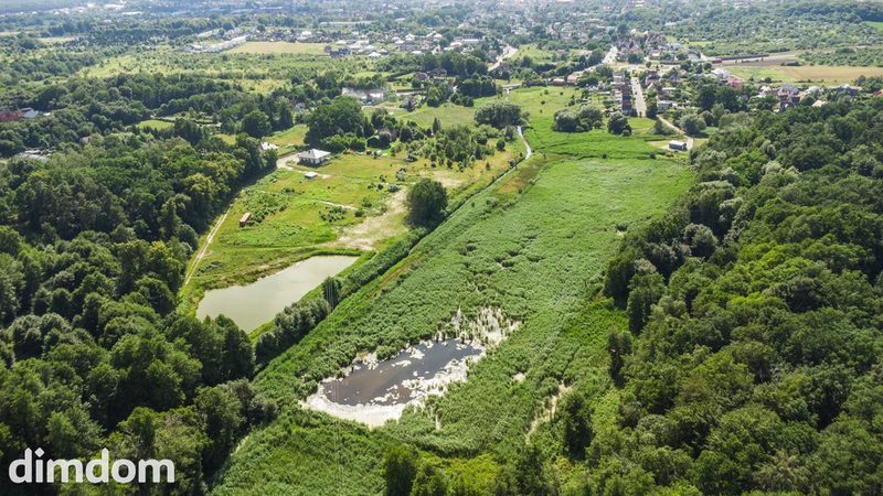 Prawie 7 ha w Żarach za 8,70 zł/m² - 113682288.jpg