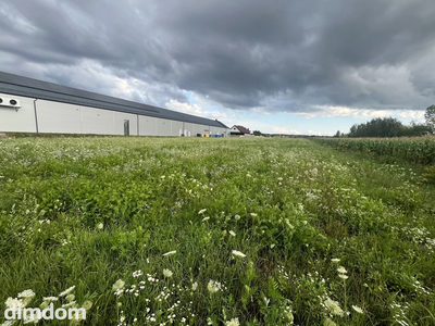 Działka inwestycyjna 6 354 m² w Zwoleniu - 4