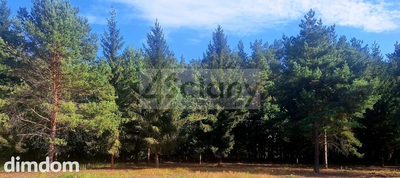 Do sprzedania działka budowlana o powierzchni 1200 m2 w Adamowiźnie koło Grodziska Maz.