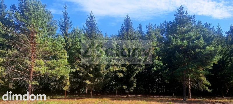 Do sprzedania działka budowlana o powierzchni 1200 m2 w Adamowiźnie koło Grodziska Maz. - 114497990.jpg