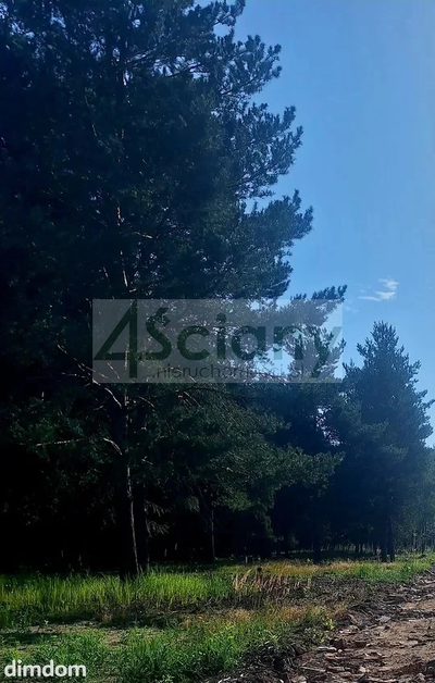 Do sprzedania działka budowlana o powierzchni 1200 m2 w Adamowiźnie koło Grodziska Maz. - 2