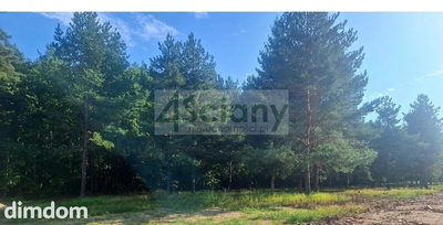 Do sprzedania działka budowlana o powierzchni 1200 m2 w Adamowiźnie koło Grodziska Maz. - 3