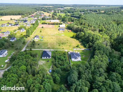 mpzp|las|pow.1646m2|Wrzeście - 5
