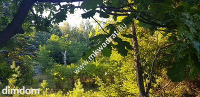 Działka w drugiej linii zabudowy - 4