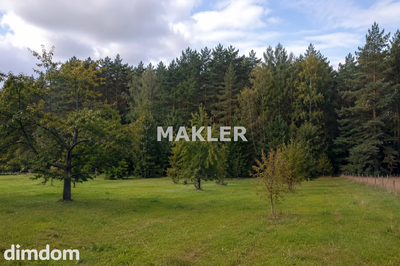 3 DZIAŁKI-BLISKO JEZIORA BAGNO-WŁADYSŁAWOWO - 2