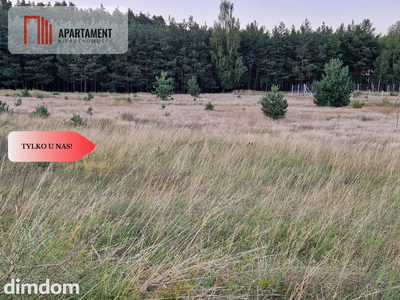 Atrakcyjna działka budowlana przy lesie - 4