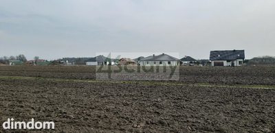 Do sprzedania dom wolnostojący w stanie surowym otwartym, posadowiony na działce o powierzchni 1000 m2 w Zaborówku, gmina Leszno. Na chwilę obecną na konstrukcji domu położono krokwie. - 5