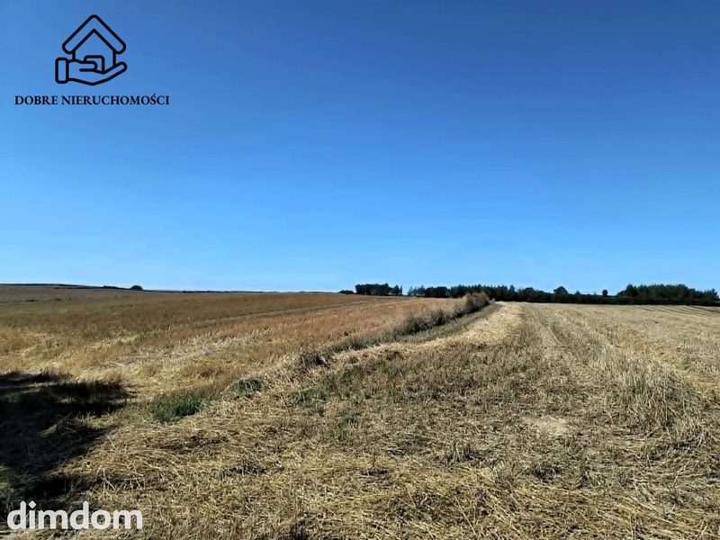 3 działki rolne - łącznie 11 200 m2 - Chłaniów - dd_fb4450c2_zs_240556_1.jpg
