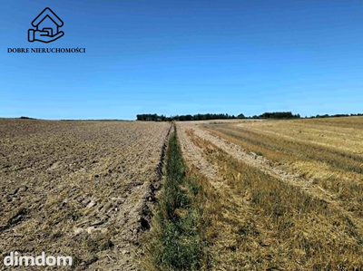 3 działki rolne - łącznie 11 200 m2 - Chłaniów - 2