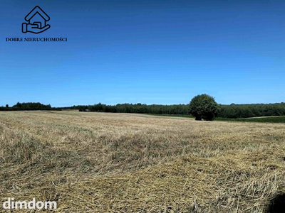3 działki rolne - łącznie 11 200 m2 - Chłaniów - 3