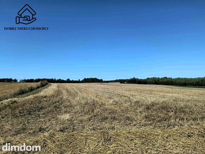 3 działki rolne - łącznie 11 200 m2 - Chłaniów - 4