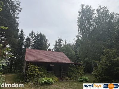 Klimatyczny murowany dom z dużą działką, las rzeka - 5